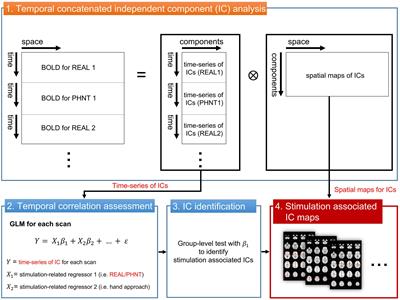 Cognitive and affective interaction with somatosensory afference in acupuncture–a specific brain response to compound stimulus